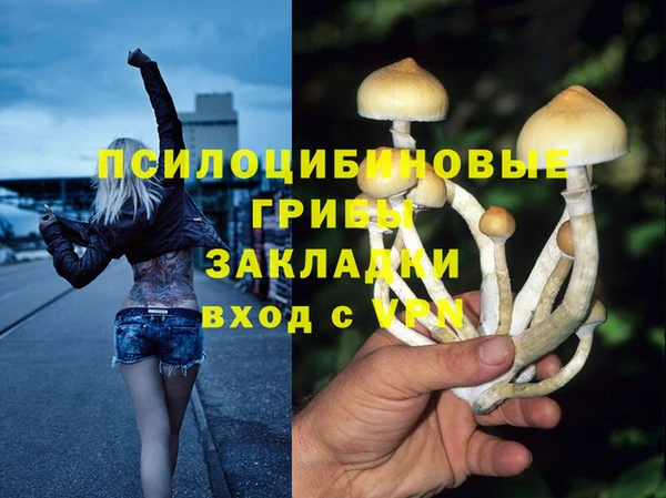 бутират Верея