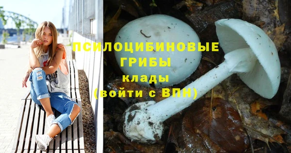 стаф Волоколамск