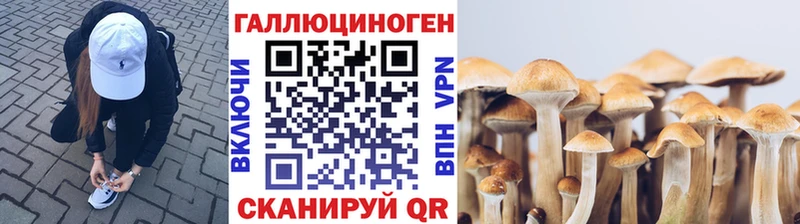 hydra маркетплейс  наркошоп  Верхняя Тура  Галлюциногенные грибы мухоморы 